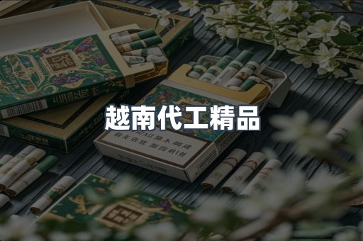 越南代工精品